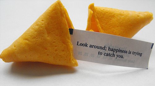 fortune-cookie