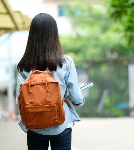 Girl at school