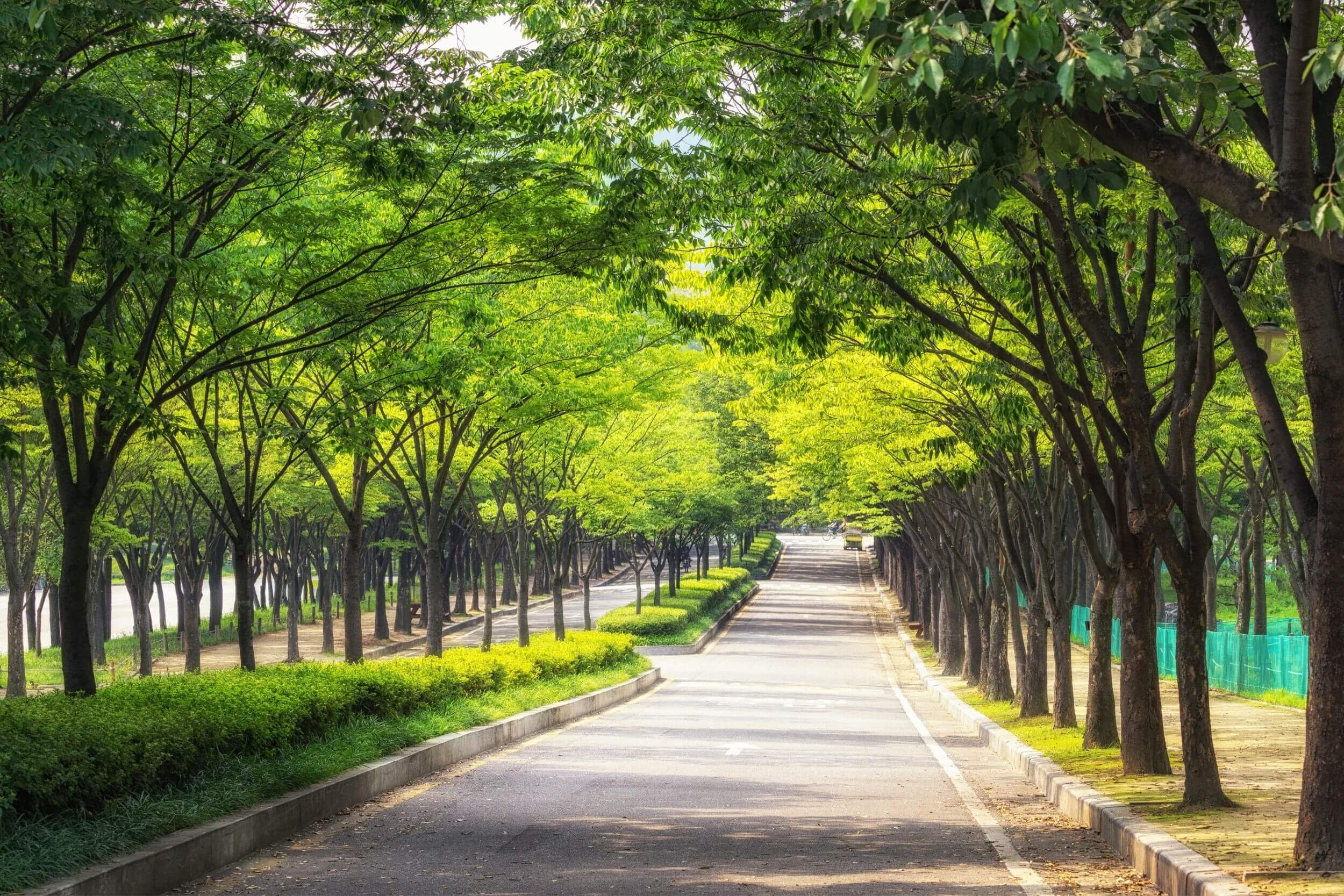 Park in Incheon