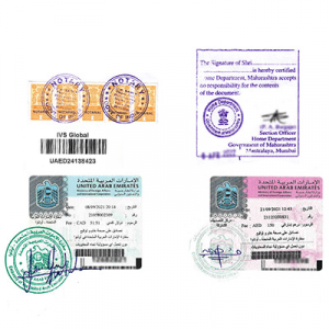 Attestation  stamps from UAE